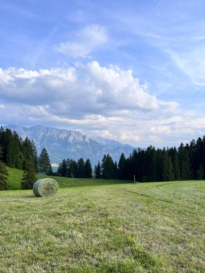 Ferienhaus Praschberg Niederndorferberg 外观 照片